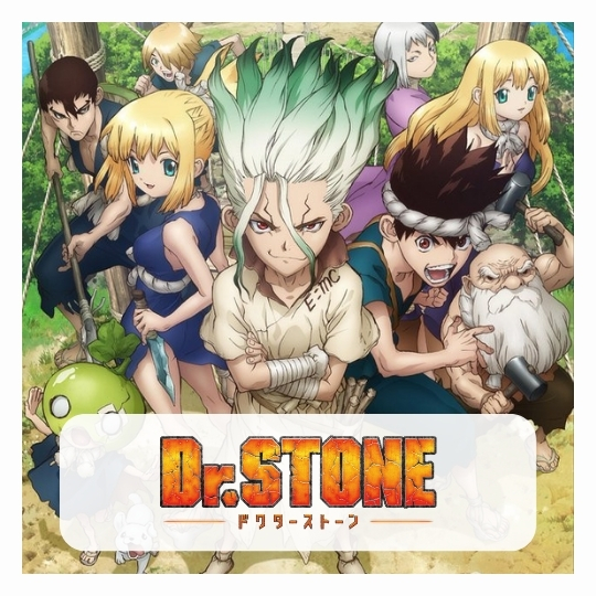 Dr Stone Gift Boxs